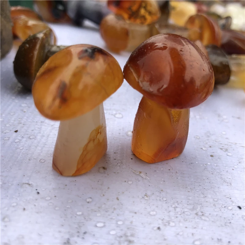 DHX SW Carnelian Crystal Hand Carved Mushrooms Natural Agate Stone Meditation Reiki Healing Remove Negative Energy Room Decor