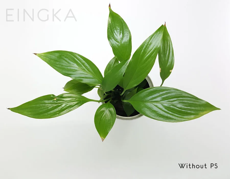 جديد كبير (40x40x40 سنتيمتر) للطي منضدية الاستوديو منتشر لينة مربع مع الصمام ضوء أسود أبيض خلفية استوديو الصور ملحقات