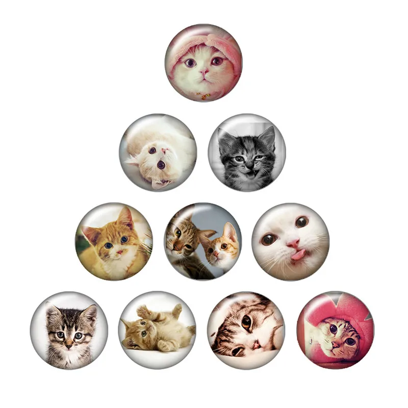 

Lovely cats cartoon cats 10pcs mixed 12mm/16mm/18mm/25mm Round photo glass cabochon demo flat back Making findings