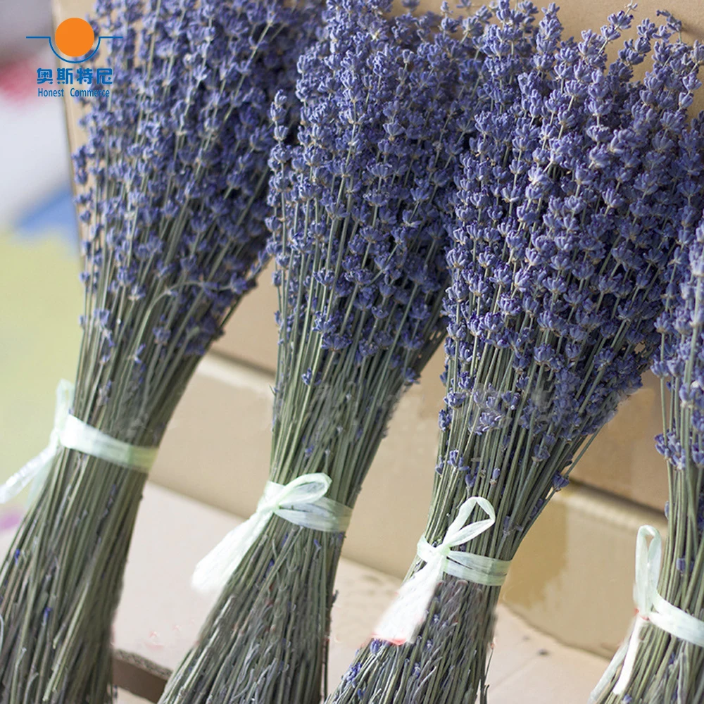 200g dried natural flower bouquets natural Lavender flower bouquet lavender flower Bunches