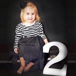custom Wooden Numbers Birthday Photo Props, Digital Signs, 0-9