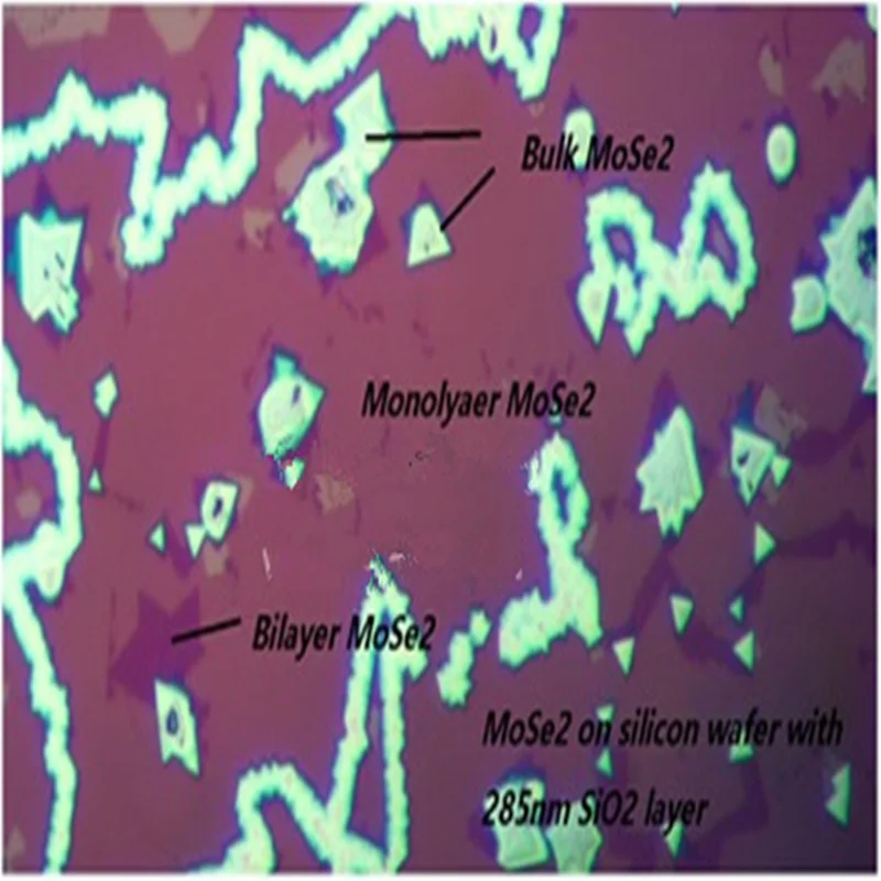 Molybdenum diselenide 17: TEM copper mesh substrate MoSe2