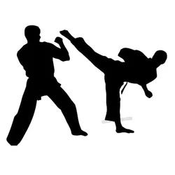 Wall Vinyl Sticker Decal Mural Dual Karate Fight Martial Art Sport Wall Decals For Boy Bedroom Home Decoration Art Mural L032
