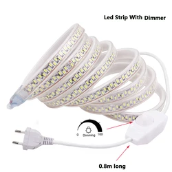 220V 5630 led strip light with dimmer or ON/OFF switch Waterproof flexible led tape 180leds/m outdoor garden lighting EU plug