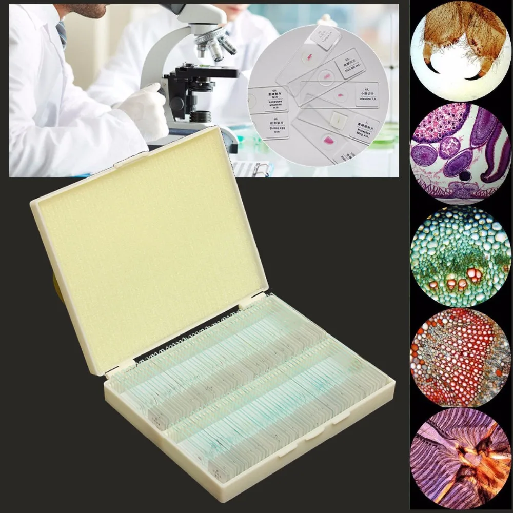 

100 PCS Prepared Biological Basic Science Microscope Glass Slides School and Laboratory English Label Teaching Samples