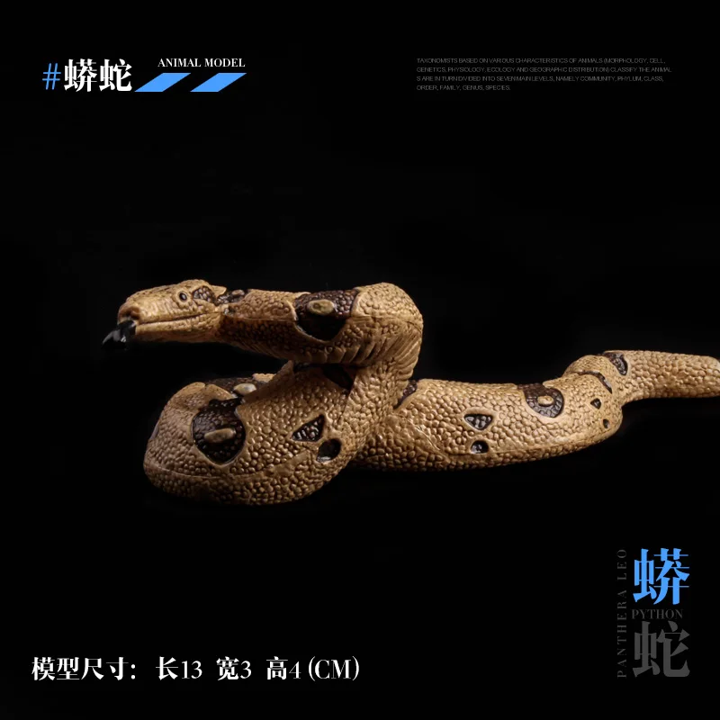 Wild Animal Gift Toy Model Children Solid World Cobra Snake Rattlesnake Zoo Serpent Wildlife Present Boa Figurine Ornaments Mini