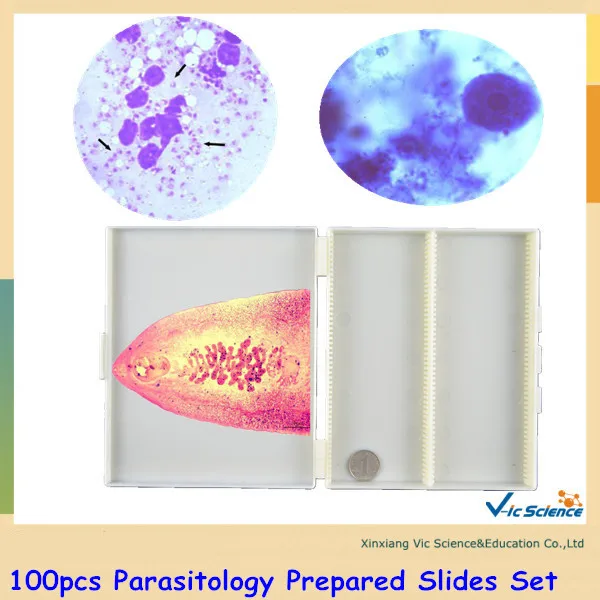 100pcs Parasitology Prepared Slides