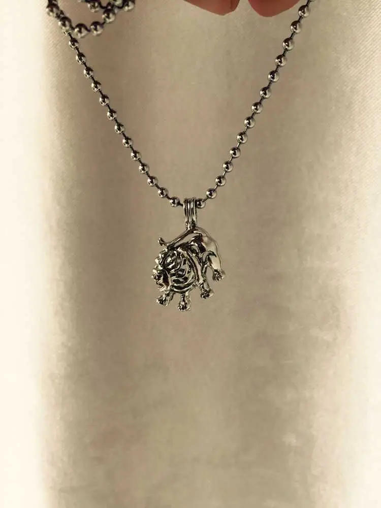 جميل لطيف الأسد شكل حبة المنجد قفص قلادة حوامل ، 18kgp علامات زودياك-أسلوب ليو سحر DIY 5 قطعة/الوحدة #6