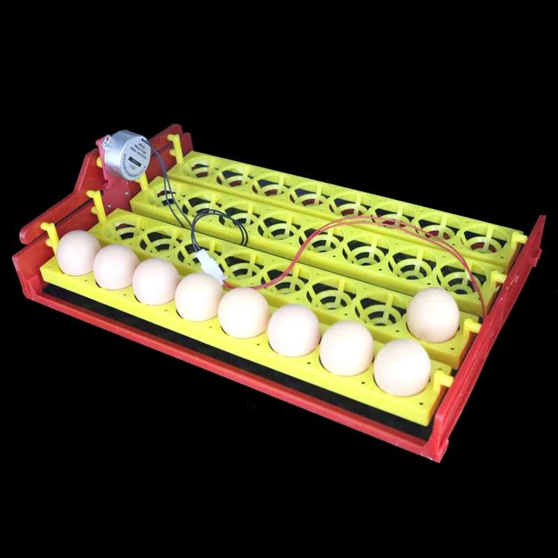 32 Eggs Turn Tray Automatic Incubator Egg Tray 110v / 220v / 12v Chicken Duck Eggs Tray 28 X 43 cm 8 Holes