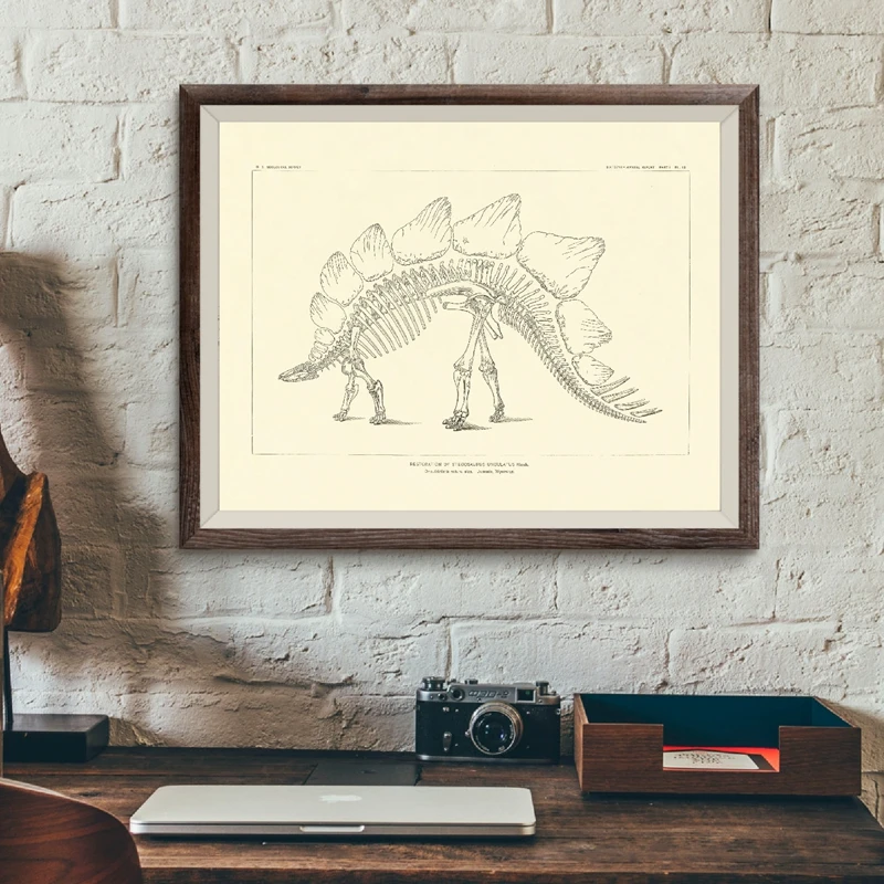 Drawings of Dinosaur Fossil Skeletons From North America Posters and Prints Paleontology Canvas Painting Dinosaurs Bones Picture