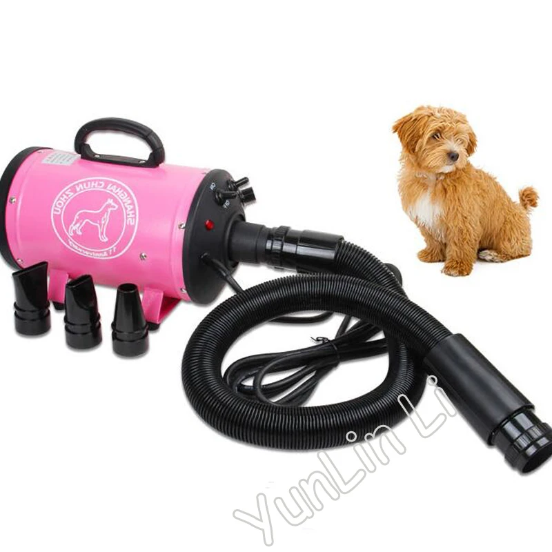 Compresor de secador de pelo eléctrico para mascotas, soplador de aseo para perros y gatos, viento cálido, pequeño, mediano y grande