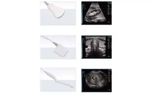 MINDRAY DP-6600 DP-6900  Ultrasound Compatible Convex Array Transducer: 35C50EA Convex Transducer