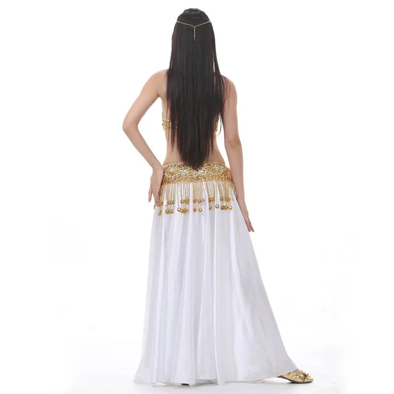 2021 New Performance Dancewear Bellydance Clothes Outfit C/D Cup Split Skirt Professional Women Egyptian Belly Dance Costume Set