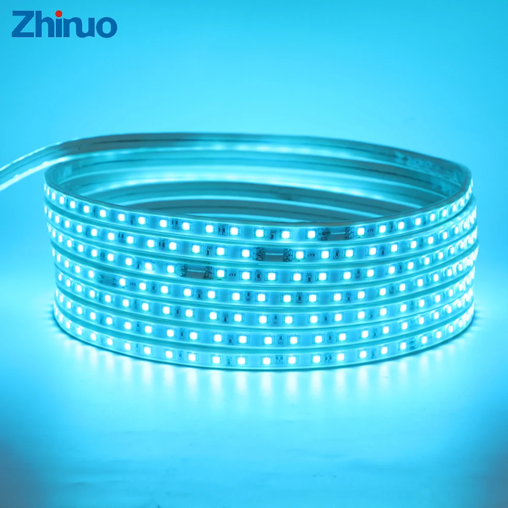 

220V RGB LED Strip SMD5050 60LEDs/m Waterproof Flexible Neon Holiday Lighting Party Decoration Light Emitting Diode Aquarium