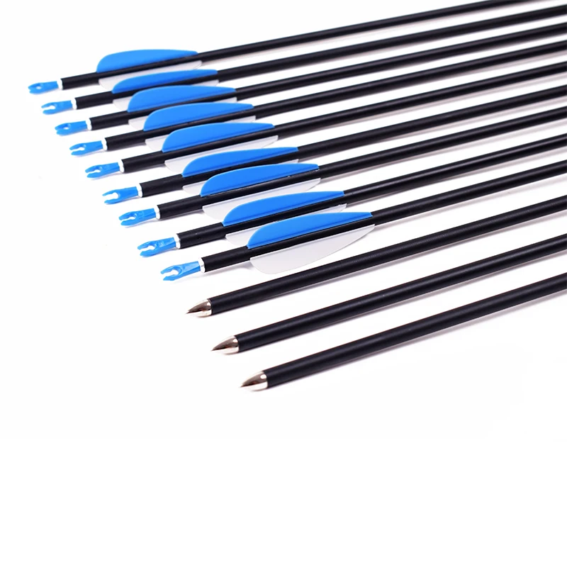 12pcs Hunting Shooting Archery Bolts Carbon Arrow 31 Inches Diameter 6 mm for Archery Bow