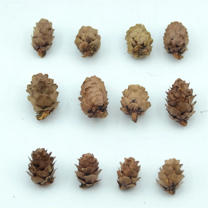 50pcs Natural Cheap Mini Pine Nuts Artificial Fake Fruit Vegetable For Home Wedding Decoration Christmas Tree Decoration