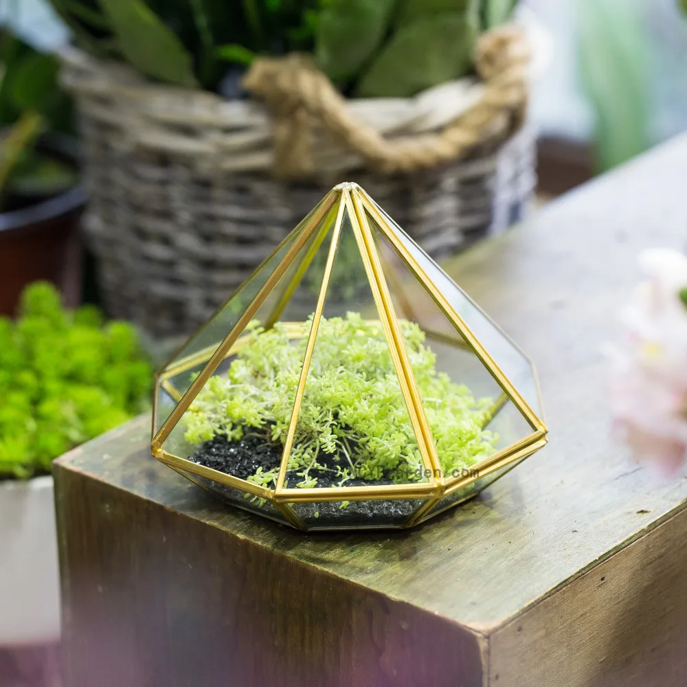 Open Diamond Glass Geometric Terrarium Box Succulent Plant Fern Moss Tabletop Display Flower Pot Small Window Sill Planter Gold