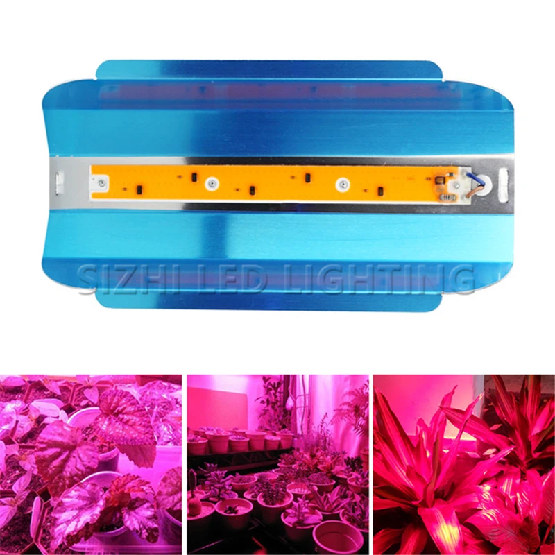 

Mising LED Grow Light 30W 50W 80W 100W Full Spectrum Phyto Flood lights Iodine Lamp 220V LED Grow Lamp Waterproof