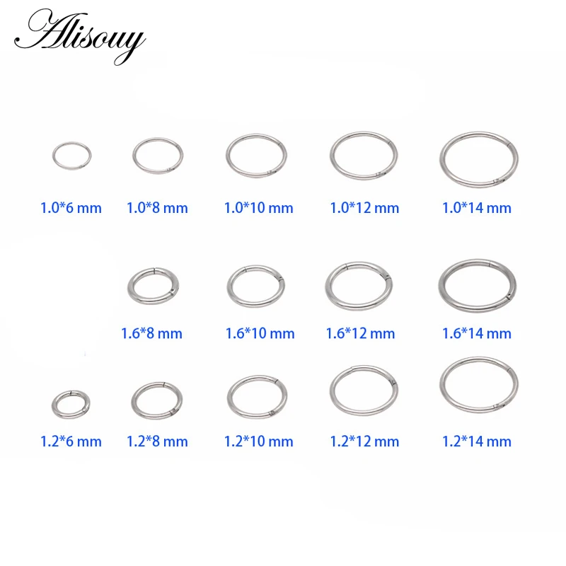 316L Stainless Hinged Segment Ring 16g 14g Nose Lip Nipple Septum Cartilage Nipple Tragus Clicker Captive Body Piercing Jewelry