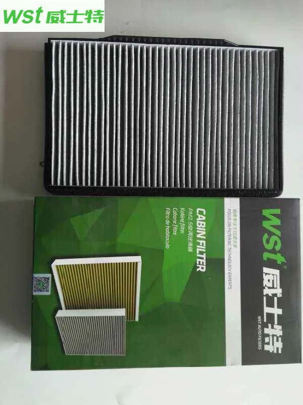 A00008912 Cabin filter For BAIC Senova D70