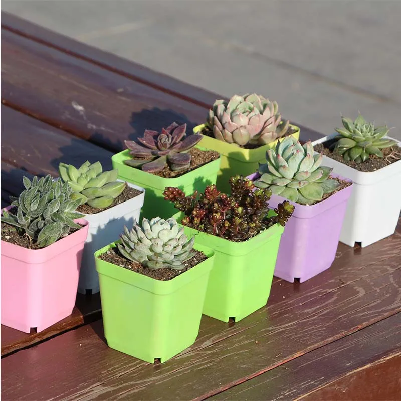 1Pc Mini Square Plastic Flower Pot Home Office Decor Planter Colorful With Pots Green Artificial Holder