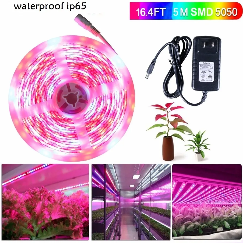 

5m 5050 LED Grow Lights DC 12V waterproof Growing LED Strip Plant Growth Tape Fita De Light Set with Power Adapter