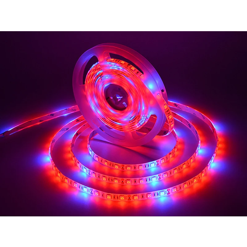 LED grow Strip 5M/roll Waterproof red blue Phyto Lamp 300LEDs 12V 5050 Chip Growth Lights Fitolamp For indoor flower plant lamp