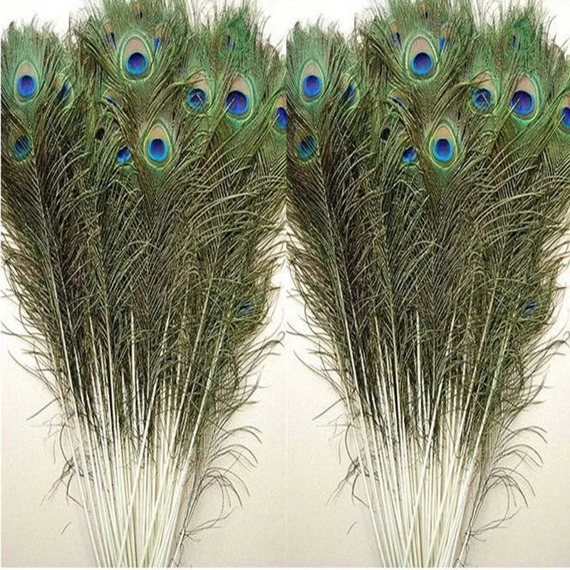 Wholesale 30PCS  natural beautiful peacock feather eyes 28-32 inches / 70-80cm