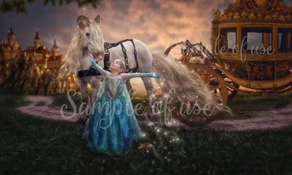 Cinderella fairytale horse carriage Princess photography backgrounds Computer print birthday backdrops