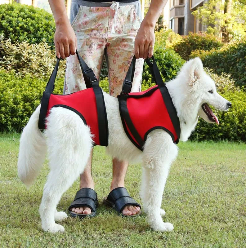 Dog Lift Harness Comfortable Soft and Luxurious - Help Lifts Older Dogs or Young Puppies - Helps with Arthritic and Weak Joints