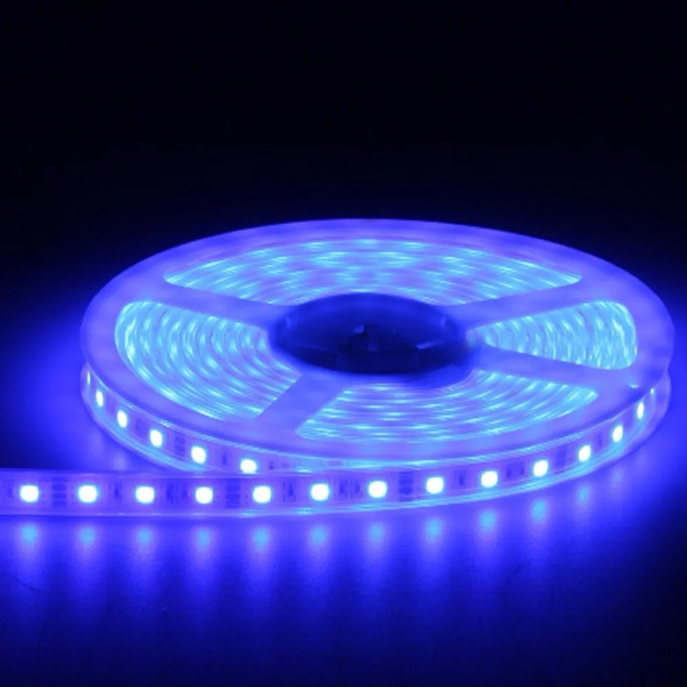 Striscia Led 5050 tubo in silicone impermeabile IP67 12V 5M RGB bianco freddo rosso blu verde 3000k 6500k 8000K corda flessibile