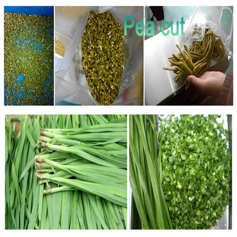 300-1000 kg/h Commerciale VVVF automatico verdure taglierina Multifunzione macchina di taglio elettrico affettatrice di verdure 220 v/380 v 1.3KW