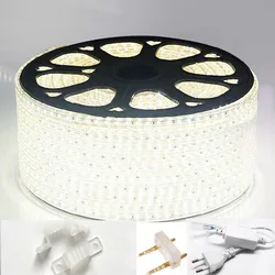 220V 230V 240V Led Strip Light 3014 Waterproof IP67 IP68 White Blue Outdoor Flexible Tape Rope With Power Plug Dimmable Ribbon