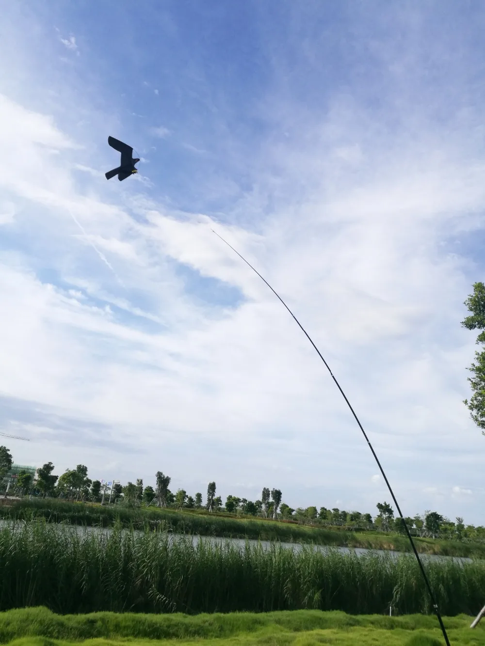 Hawk Kite great as a Bird Scarer Scarecrow Performing Bird Control for Home and Garden-Black(Pole not include)