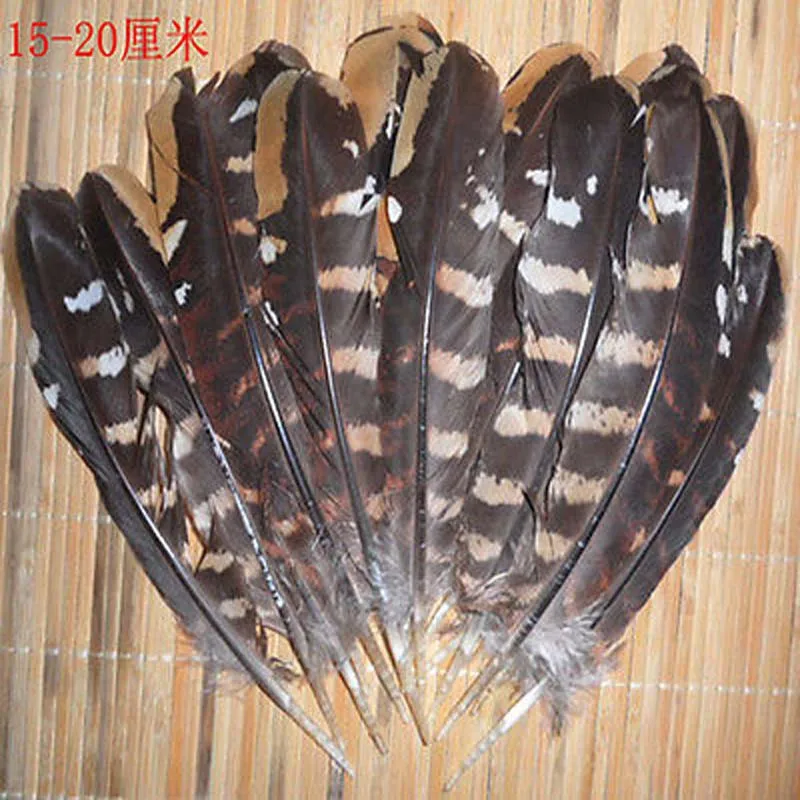 Wholesale, 200pcs beautiful Chicken wing feathers 15-20 cm / 6 - 8 inches