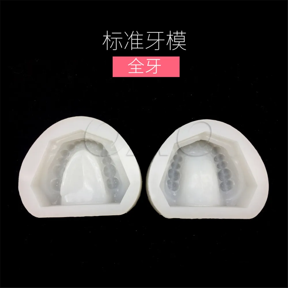 

2pc/set Dental Plaster Model Mold Mould of Edentulous Jaw Complete Cavity Block Full teeth