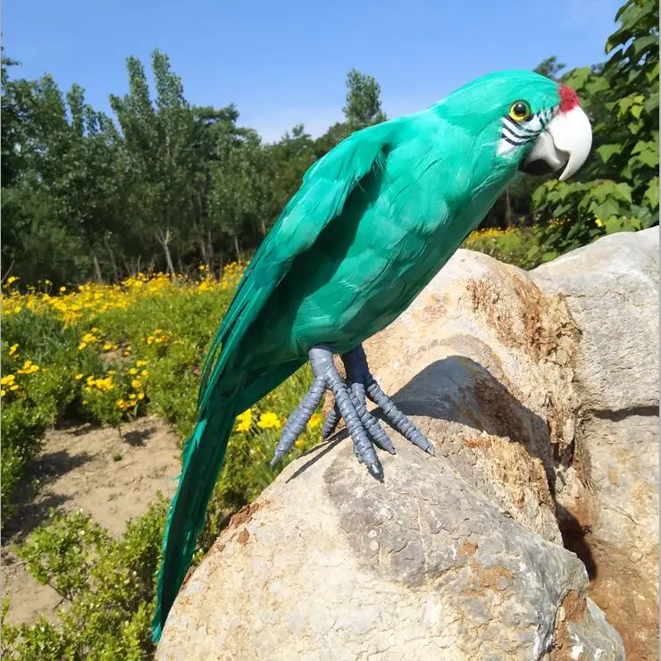 real life Bird green feathers parrot model large 45cm open wings parrot home garden decoration filming prop toy gift h1223