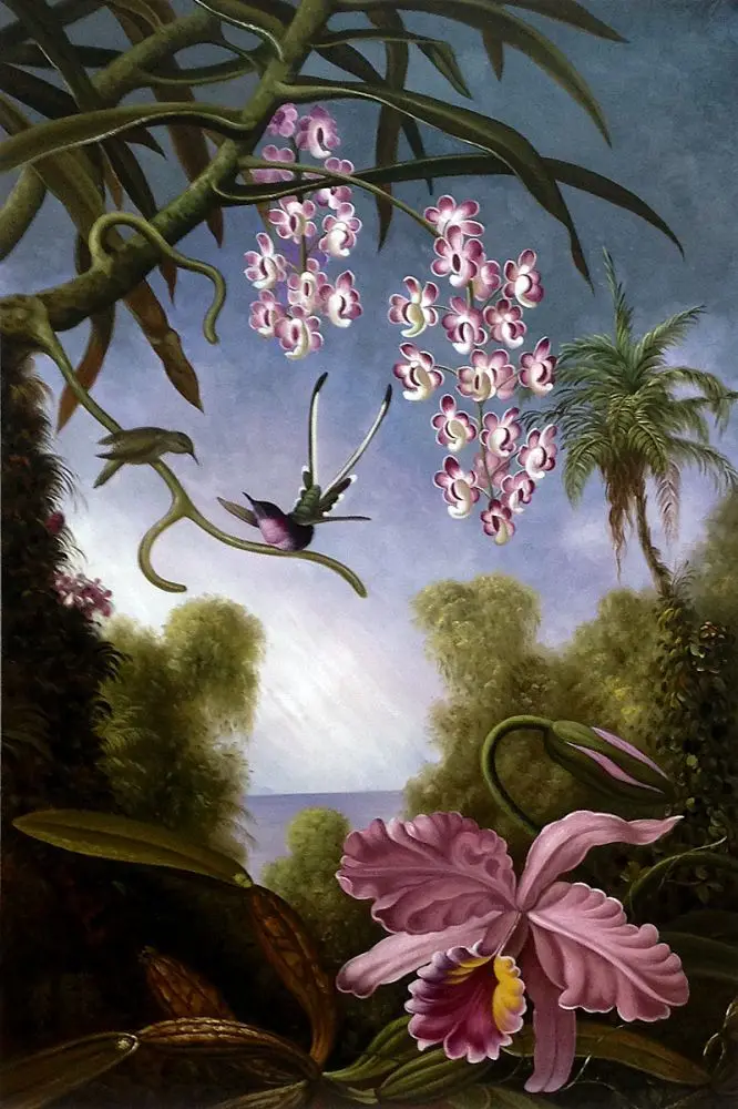 Landscape Flower Oil Painting for Living Room Orchids and Spray Orchids with Hummingbird, 1890 by Martin Johnson Heade Handmade