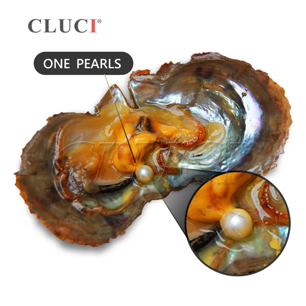 CLUCI 30pcs 7-8mm Akoya Oysters with Pearls Mix 13 Colors Single and Twins Pearls Oysters Surprising Party Pearl Oyster WP335SB