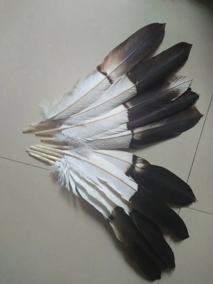 NEW Wholesale perfect 10pcs high quality scare natural Eagle tail feathers 35-42cm/15-17inch Decorative diy stage performance