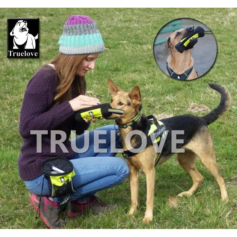 Truelove Feed Dummy Dog przysmak dla zwierząt domowych torba odblaskowe szkolenia psów Carry Treats zabawki dla psów Pet kieszeń na karmę etui