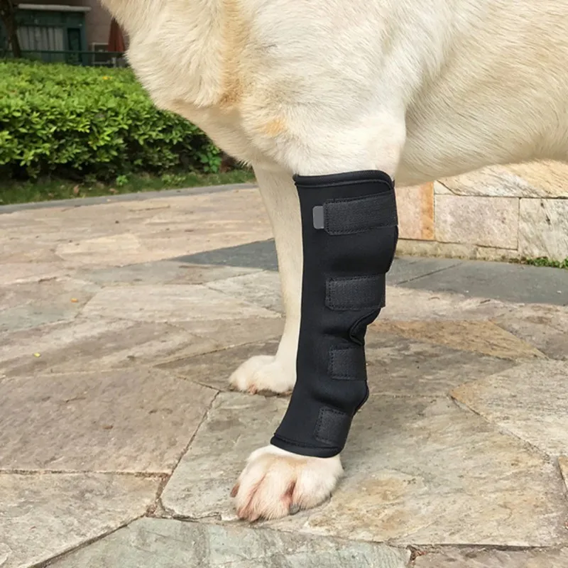 Dog Support Brace Leggings Set Pet Protector Dog Surgical Injury Fixed Knee Pads Dog Feet Cover Leg Wrap