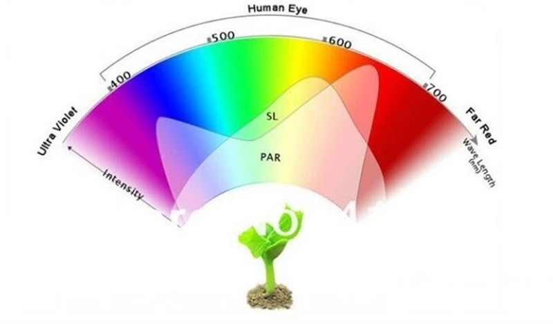 Dẫn Phát Triển Đèn 3 W E27 Bóng Đèn Quang Phổ Đầy Đủ uv cây giống Đèn cho các nhà máy trong nhà luz cultivo Rau Hoa Nhà Kính phát triển lều