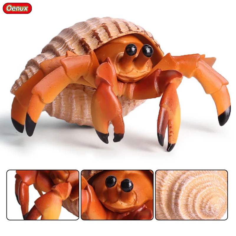 Oenux Ocean Animals Simulation Hermit Crab Sea Life Animal Model Figurines Crab Action Figures Collection Toys For Kids Gift