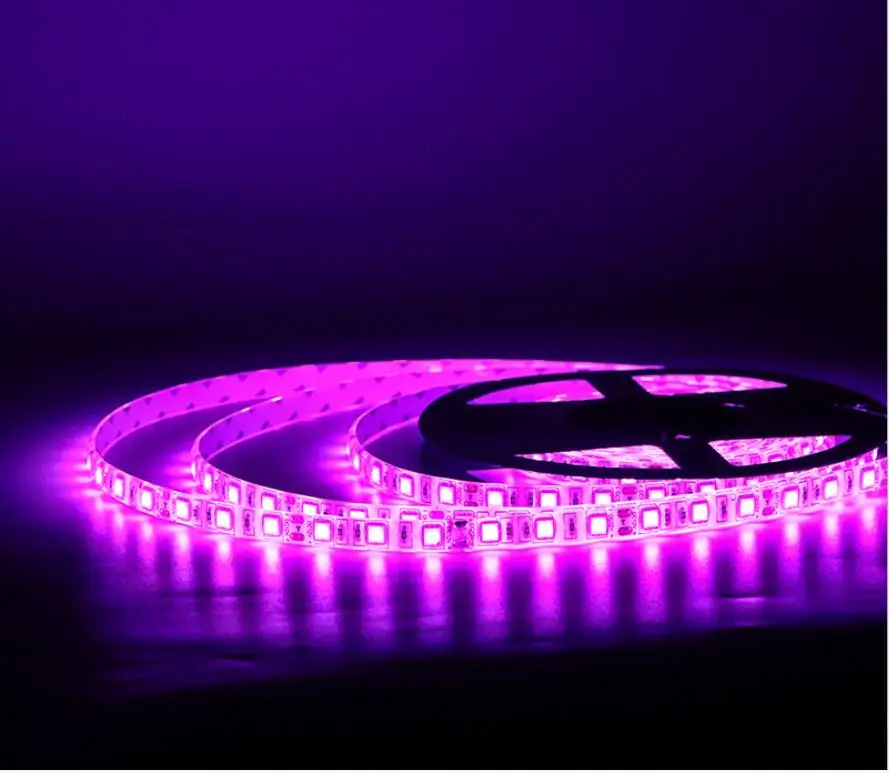 

LED Strip light Pink Flexible Tape 5M Waterproof Non-waterproof Car Decoration Strip 60LEDs/M DC12V DC24V