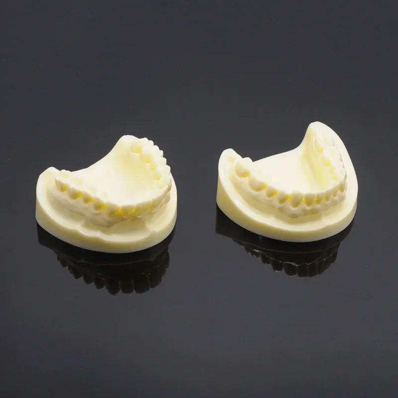 Dental Teaching Model 1 Pcs Dental White Corundum Tooth Model