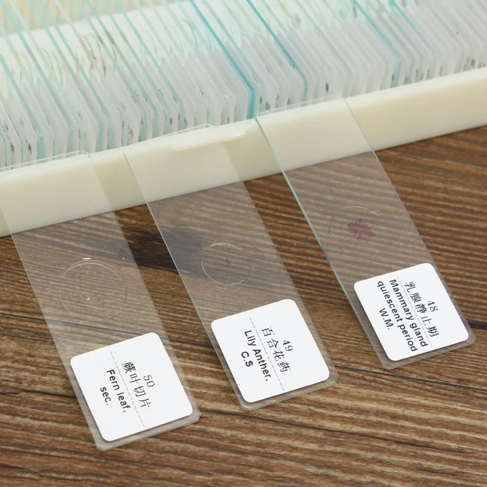 Biology 50 PCS Prepared Biological Basic Science Microscope Glass Slides School and Laboratory English Label Teaching Samples