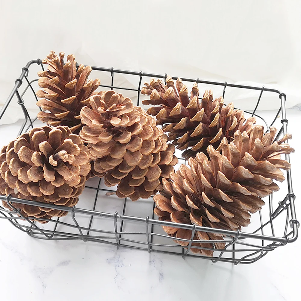 8pcs 12-14cm big size natural Christmas decoration big pine cones