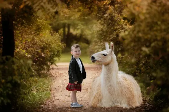 autumn llama fall green leaves leaf  backgrounds  High quality Computer print children kids backdrops