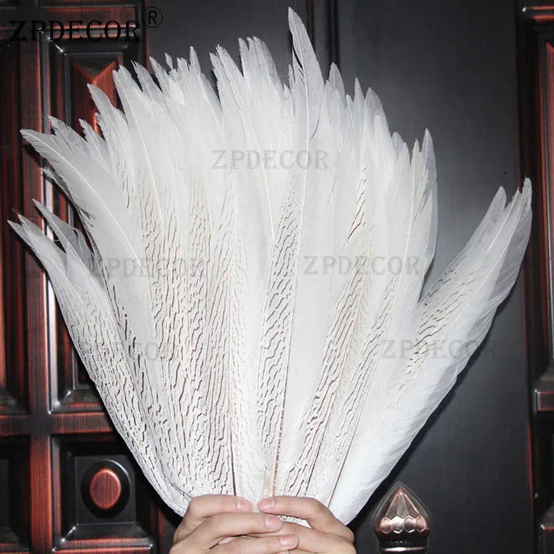 Silver Pheasant Tail Feathers, Customized Color, 45-50 cm, 18-20 Inch